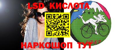 крисы Малгобек