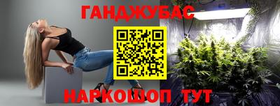 крисы Малгобек