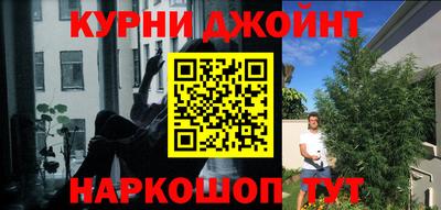 крисы Малгобек